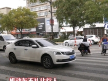 《曝光臺》臨渭區個別路段機動車亂停亂放 、不禮讓行人、行人不走斑馬線等問題突出