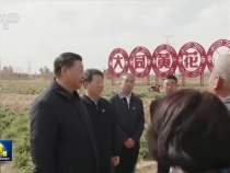 鞏固拓展脫貧攻堅成果 加快推進鄉村全面振興