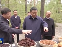 推動綠色低碳發展 助力中國式現代化