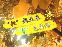 【健康渭南】“托”起未來 “育”見美好