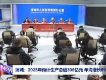 蒲城：2025年預計生產總值305億元 年均增長8%