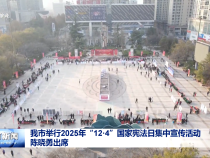 我市舉行2025年“12·4”國家憲法日集中宣傳活動 陳曉勇出席