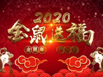 渭南市儿童福利院向全市人民拜年