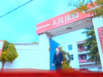 渭南市法院系统首届“十佳法官”“十佳法庭”事迹展播 韩城市人民法院芝阳人民法庭庭长 杨柳