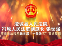 渭南市法院系统首届“十佳法官”“十佳法庭”事迹展播 澄城县人民法院冯原人民法庭 副庭长 张世强