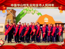 中垦华山牧乳业向全市人民拜年