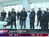 高振鑫到渭南经开区调研