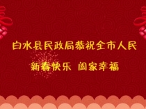 白水县民政局向全市人民拜年