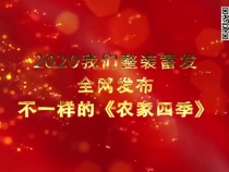 2020我们整装蓄发全网发布不一样的《农家四季》