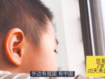 出不了门 豆哥的心声