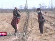 渭南经开区：不误农时备耕忙  防疫生产两手抓