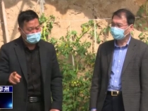 新华社陕西分社来渭南市华州区采访调研