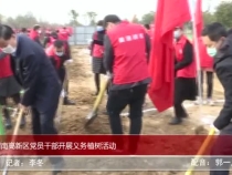 渭南高新区：春风吹新绿 植树正当时