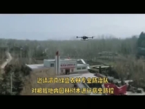 红色基地 绿色防控