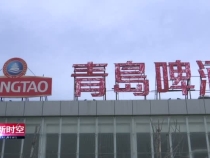 青岛啤酒渭南公司：任务不减目标不变 全年实现产值4个亿