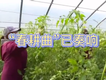 春耕除了戴口罩，这些硬核措施都很给力