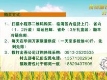 時令佳品紅油香椿 與你共享秦嶺渭水之間精華鮮食