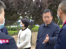薛清军督导全区重点项目建设工作