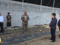 渭南市华州区：金融助力  保障群众“菜篮子”供应