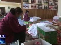 華州區瓜坡鎮：組建電商團隊 農產品銷售搭上“順風車”