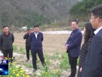 霍文軍調研金堆鎮產業發展和安全生產工作