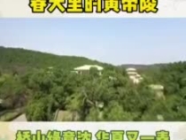 春天里的黄帝陵