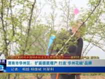 渭南市華州區：擴面提質增產 打造“華州花椒”品牌