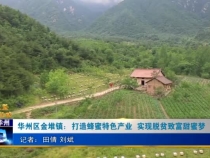 华州区金堆镇：打造蜂蜜特色产业  实现脱贫致富甜蜜梦