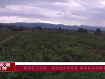 臨渭區(qū)三張鎮(zhèn):點線結合抓脫貧 確保漏點短板全清零