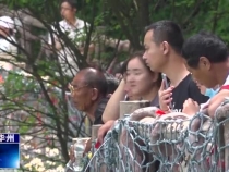 少华山：增添极限新项目  景美刺激看头足