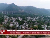 臨渭區(qū)橋南鎮(zhèn):用好政策補齊短板 確保高質(zhì)量完成脫貧任務