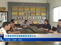王海峰调研高塘镇脱贫攻坚工作