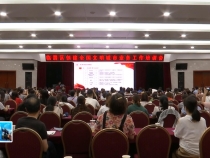 临渭区召开创建全国文明城市业务工作培训会