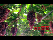 一次渭南行