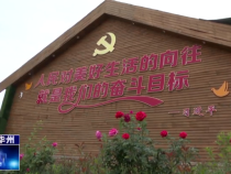 渭南市华州区杏林镇：齐心协力强推进   共创文明取成效