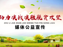 助力决战决胜脱贫攻坚媒体公益宣传