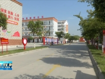 雷彩荣：雷厉风行为群众 贴心服务暖民心