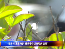 “套路贷”里套路多  律师带你识破经典“套路”