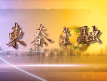 东秦金融10月08日