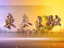 东秦金融11月12日