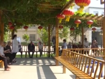 众人拾柴火焰高——渭南市社会福利院“3125”活动助力工作升级晋档