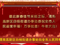 渭南高新区白杨街道办事处向全市人民拜年