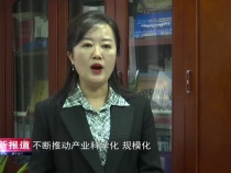 【系统谋划 优扩并举 勇当工业倍增排头兵】渭南高新区对外经济技术合作局局长史瑞娜：缜密 笃实 创新 奉献 以高质量招商引资推动经济高质量发展