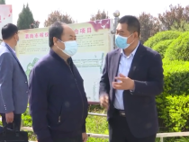 陕西省民政厅督导组来渭检查疫情防控和清明祭扫工作