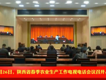 渭南市组织参加陕西省春季农业生产工作电视电话会议