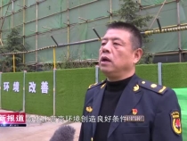 【打造一流营商环境】高新区城市管理执法局：靠前服务 主动作为 助推区域营商环境提档升级