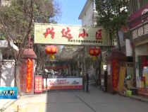 临渭区兴达小区：毁绿种菜现象严重 居民反响强烈