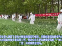 陕西渭南：不失时机抓好小麦条锈病防治