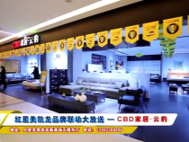 红星美凯龙品牌联动大放送 — CBD家居·云豹