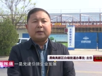 【打造一流营商环境】渭南高新区白杨街道：强化党建引领  保障项目入驻  为企业发展保驾护航